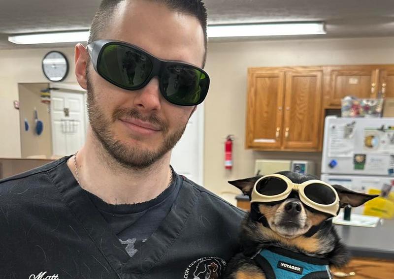 Carousel Slide 7: Laser therapy available!